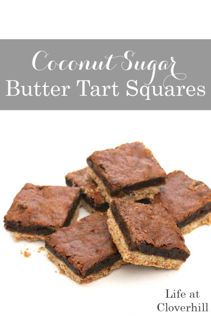 organic-coconut-sugar-butter-tart-squares