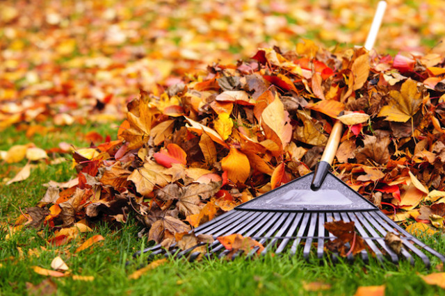 Fall Cleaning Checklist - Life at Cloverhill