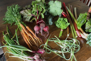 washing-storing-seasonal-produce