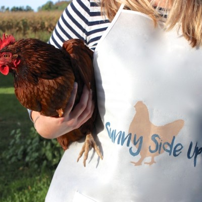 Sunny Side Up Chicken Apron