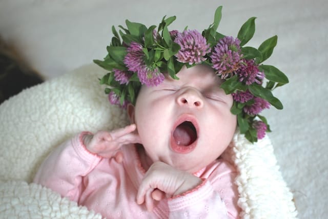 lucy-birth-announcement-flower-crown-yawn