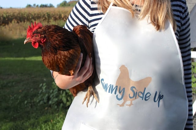 sunny-side-up-apron-chicken-closeup