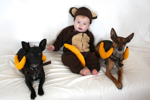 Dog And Owner Halloween Costume: Monkey and Banana