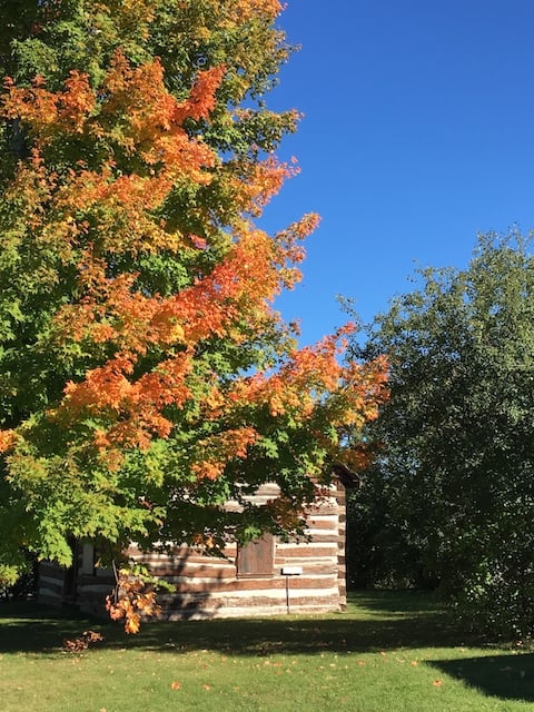 thanksgiving-log-cabin