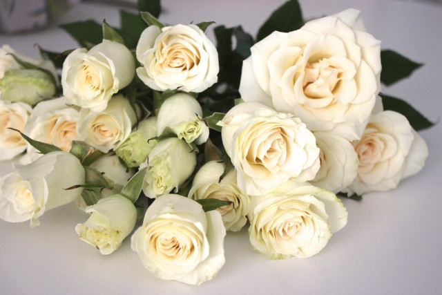 white-spray-roses