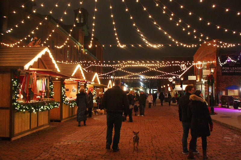 christmas-market-dog