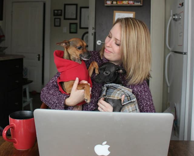 online-holiday-planner-laptop-dogs