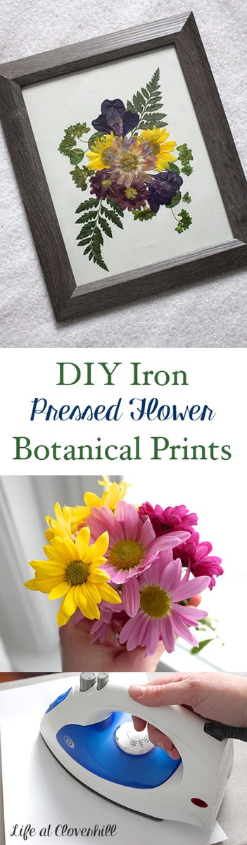 diy-iron-pressed-flower-botantical-prints