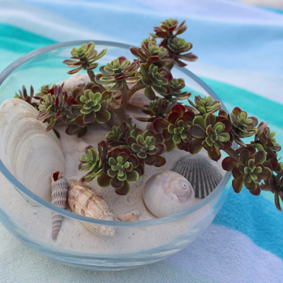 $10 Faux Succulent Beach Terrarium