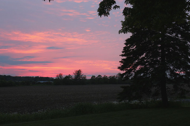 cotton-candy-sunset-rural-ontario