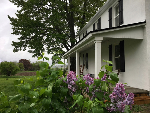 front-porch-lilacs