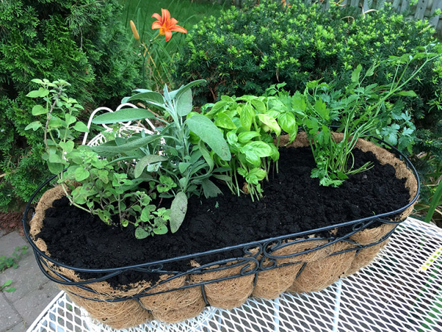 herb-window-basket