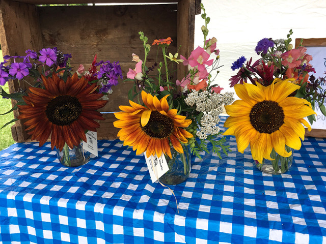 trio-of-sunflowers