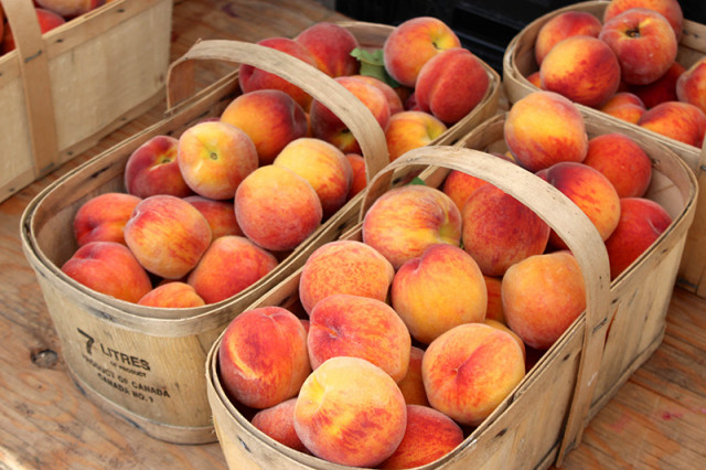 basket-peaches