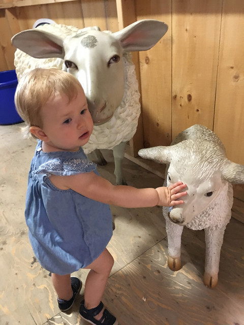 cne-kids-farm-sheep