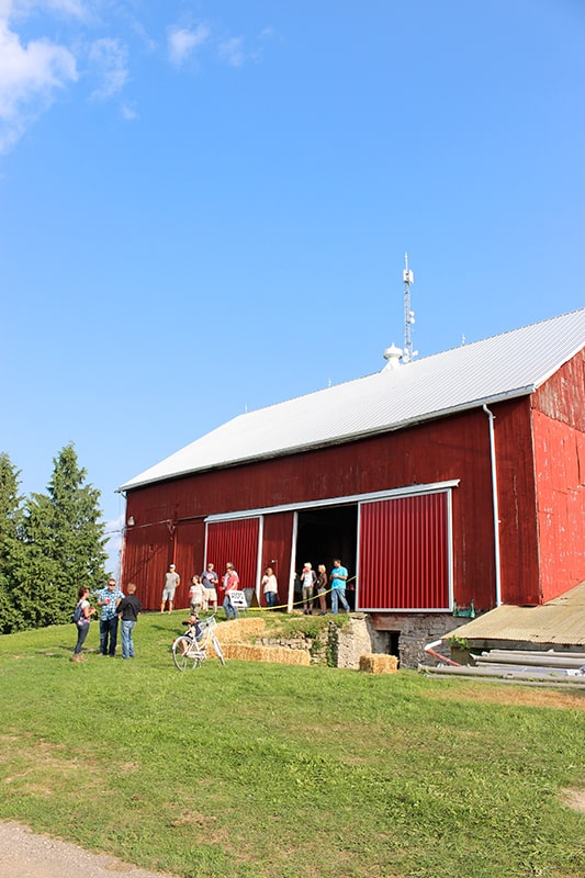 la-primavera-barn