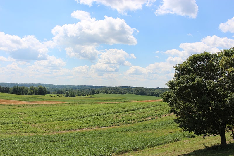 la-primavera-view