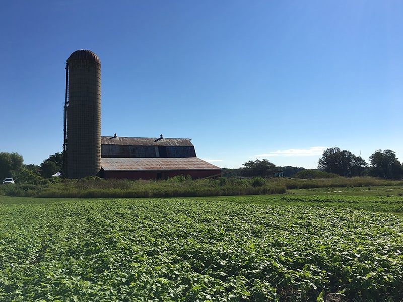 wendalane-farm-barn