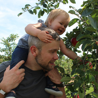 Picking Apples at Chudleighs