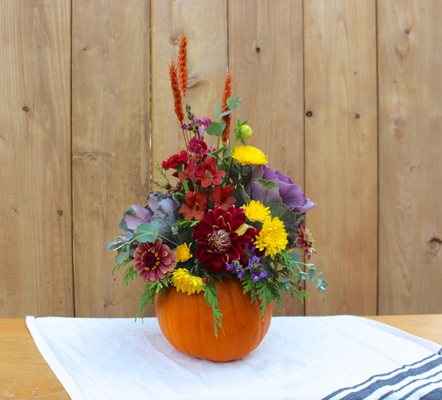 cloverhill-flowers-pumpkin-arrangements