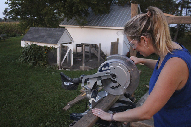 cutting-wood-shed