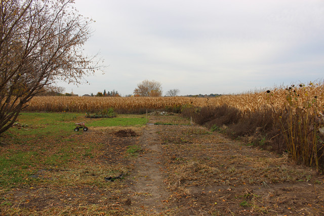 empty-fall-field