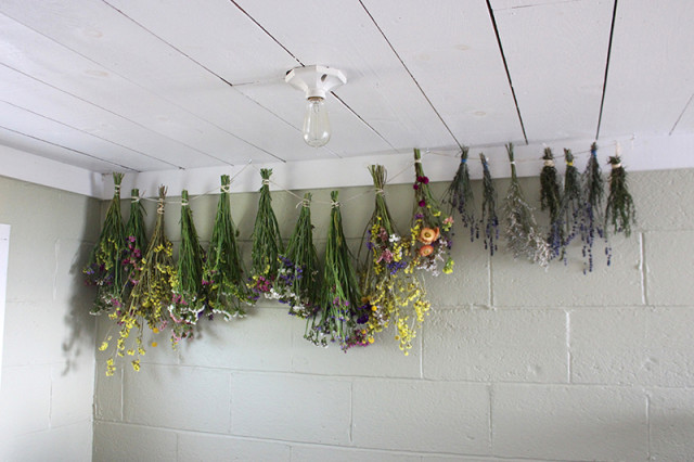flowers-drying-cold-storage