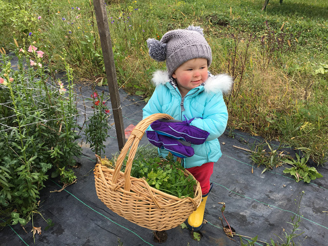 lucy-collecting-herbs