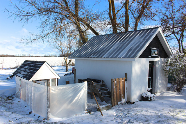 chicken-coop-snow