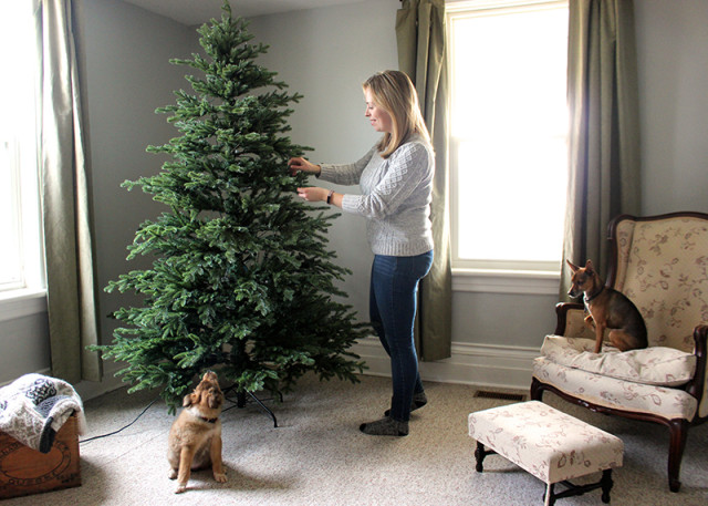 assembling-tree-canadian-tire