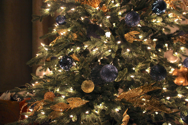 christmas-tree-sparkle-nighttime