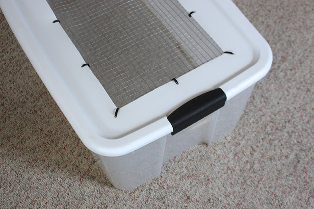 diy-chick-brooder-plastic-bin