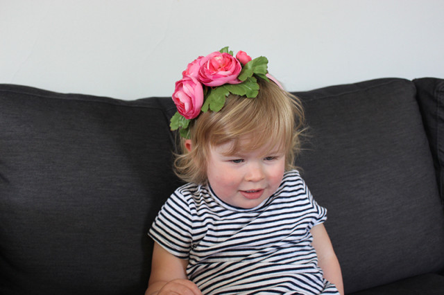 lucy-fascinator
