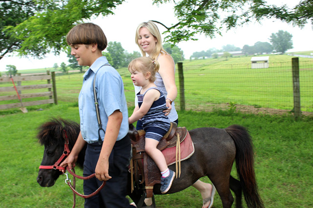 ronks-lancaster-pa-lil-country-store-horse-rides