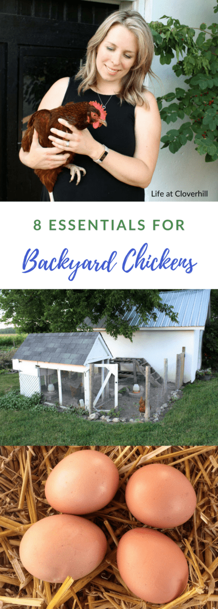 The essentials #homestead #homesteading #essentials #backyardchickens