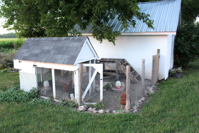 The essentials #homestead #homesteading #essentials #backyardchickens