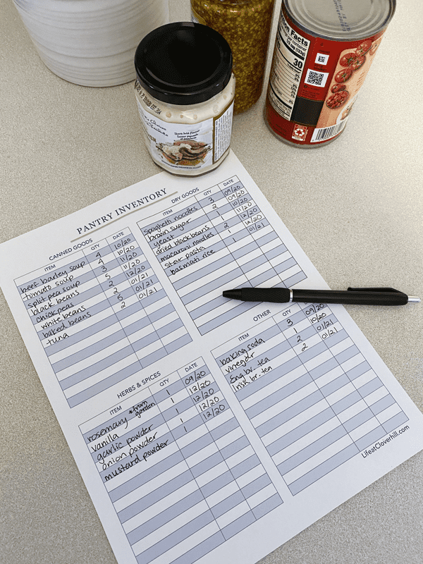 Freezer Organization: Best Containers & an Inventory Printable