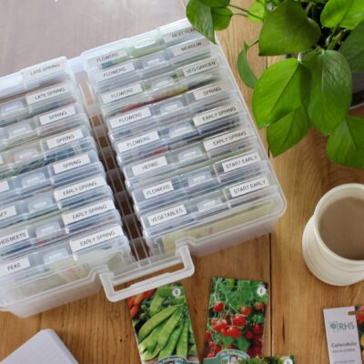 The Best Way to Store & Organize Garden Seeds