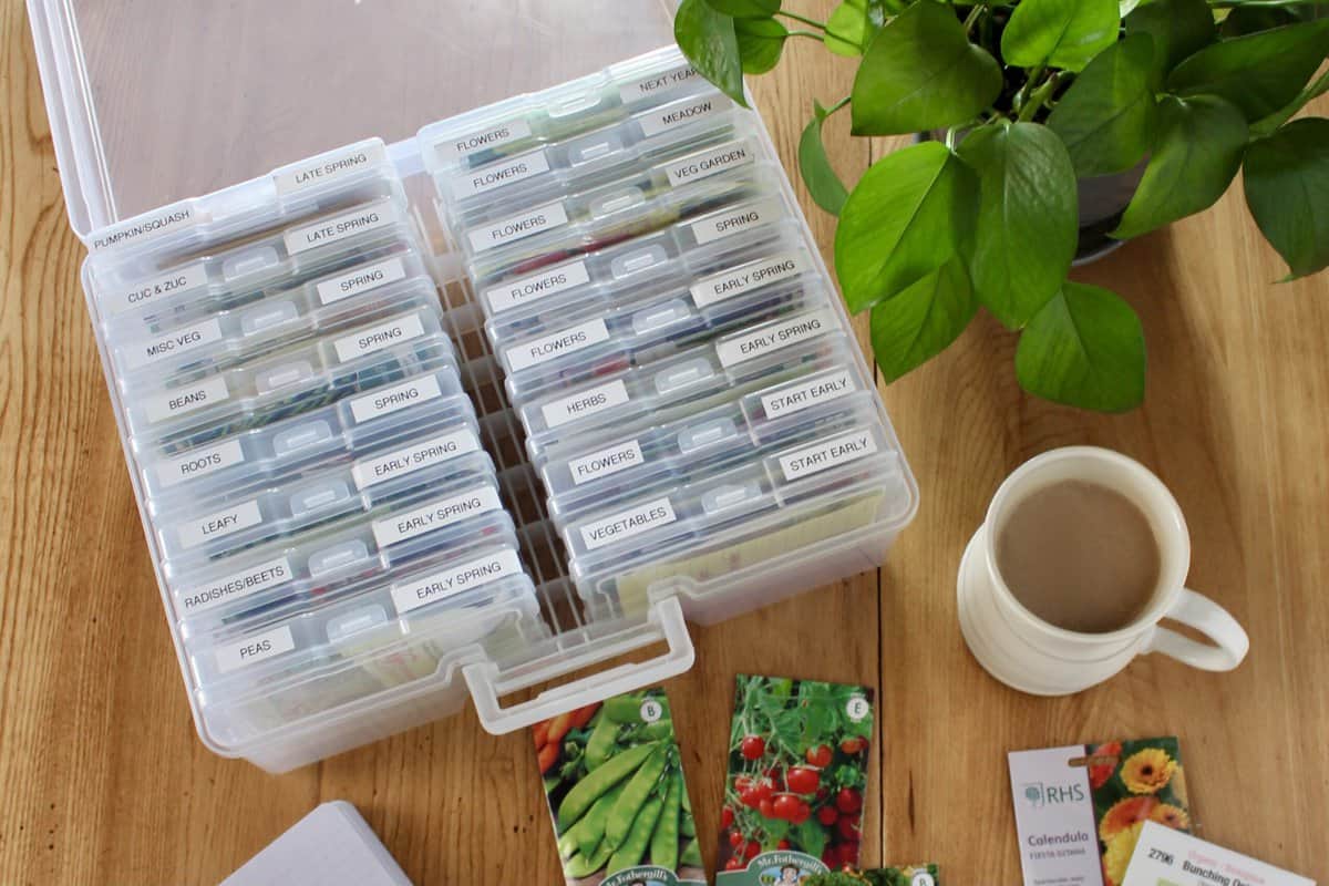 How to organize your vegetable and herb seeds for long term storage 