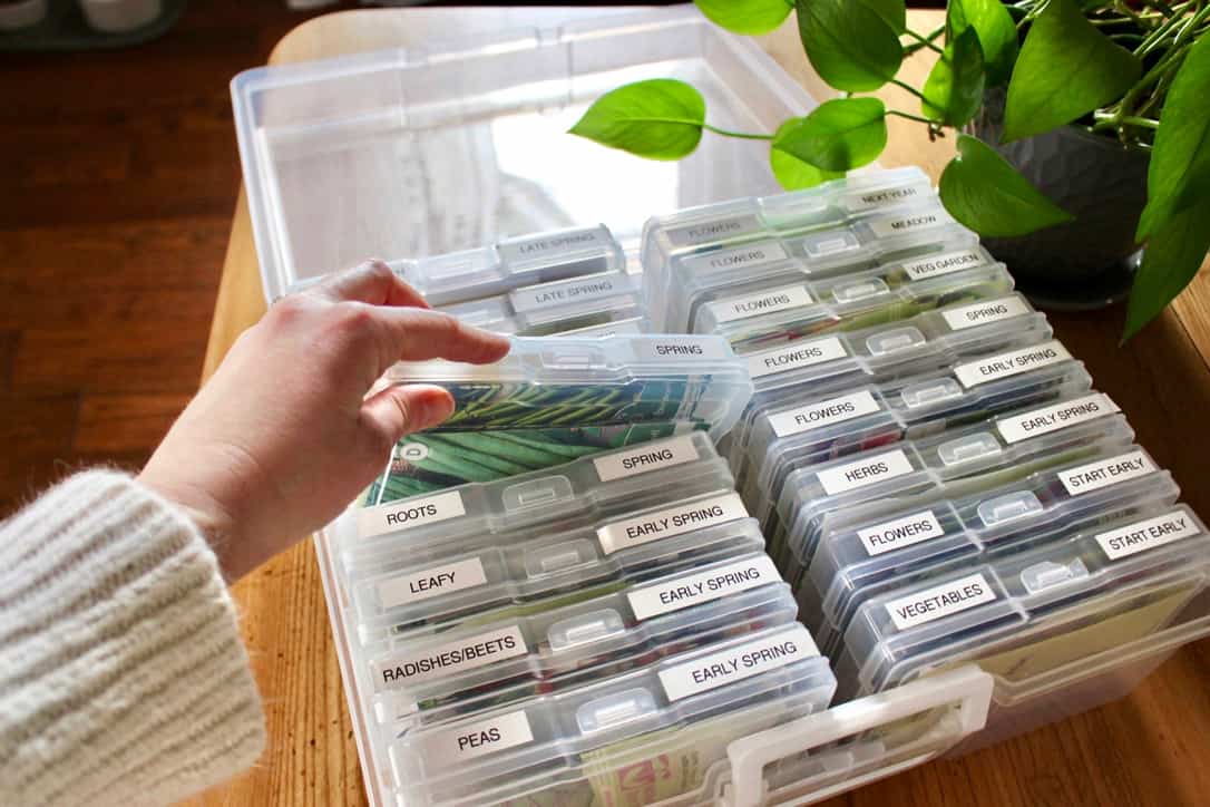 Garden Seed Storage & Organization Tips - GROWING WITH GERTIE