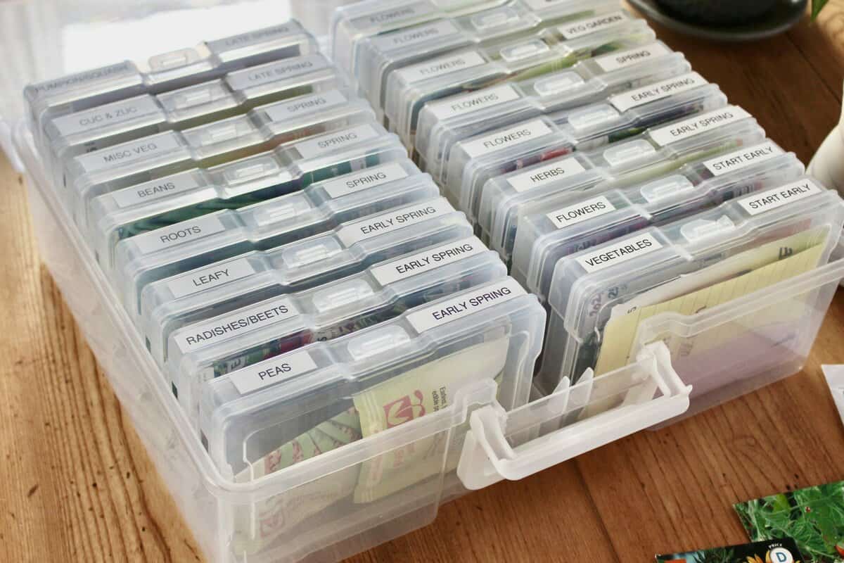 Seed Organizing & Storing