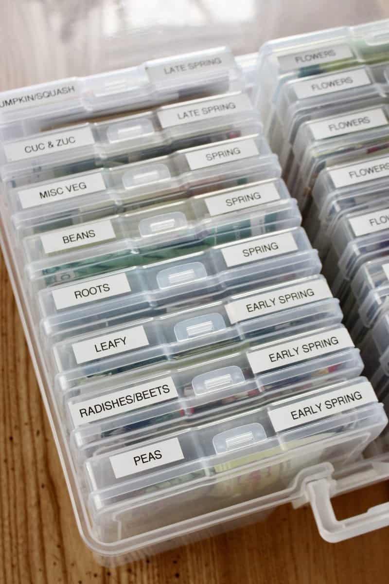 The 5 Best Seed Organizers to Keep Your Seeds in Order - Minneopa Orchards