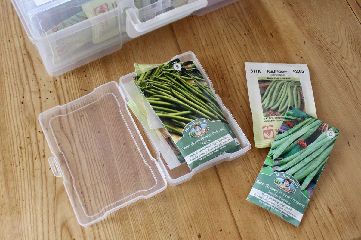 How To Organize & Store Garden Seeds Using A Photo Storage Box - CREATIVE  CAIN CABIN