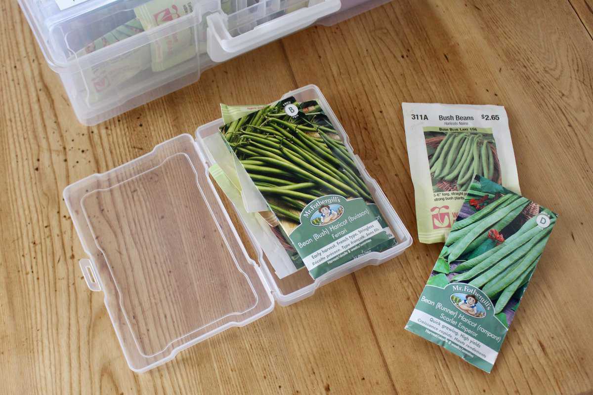 Garden Seed Storage & Organization Tips - GROWING WITH GERTIE