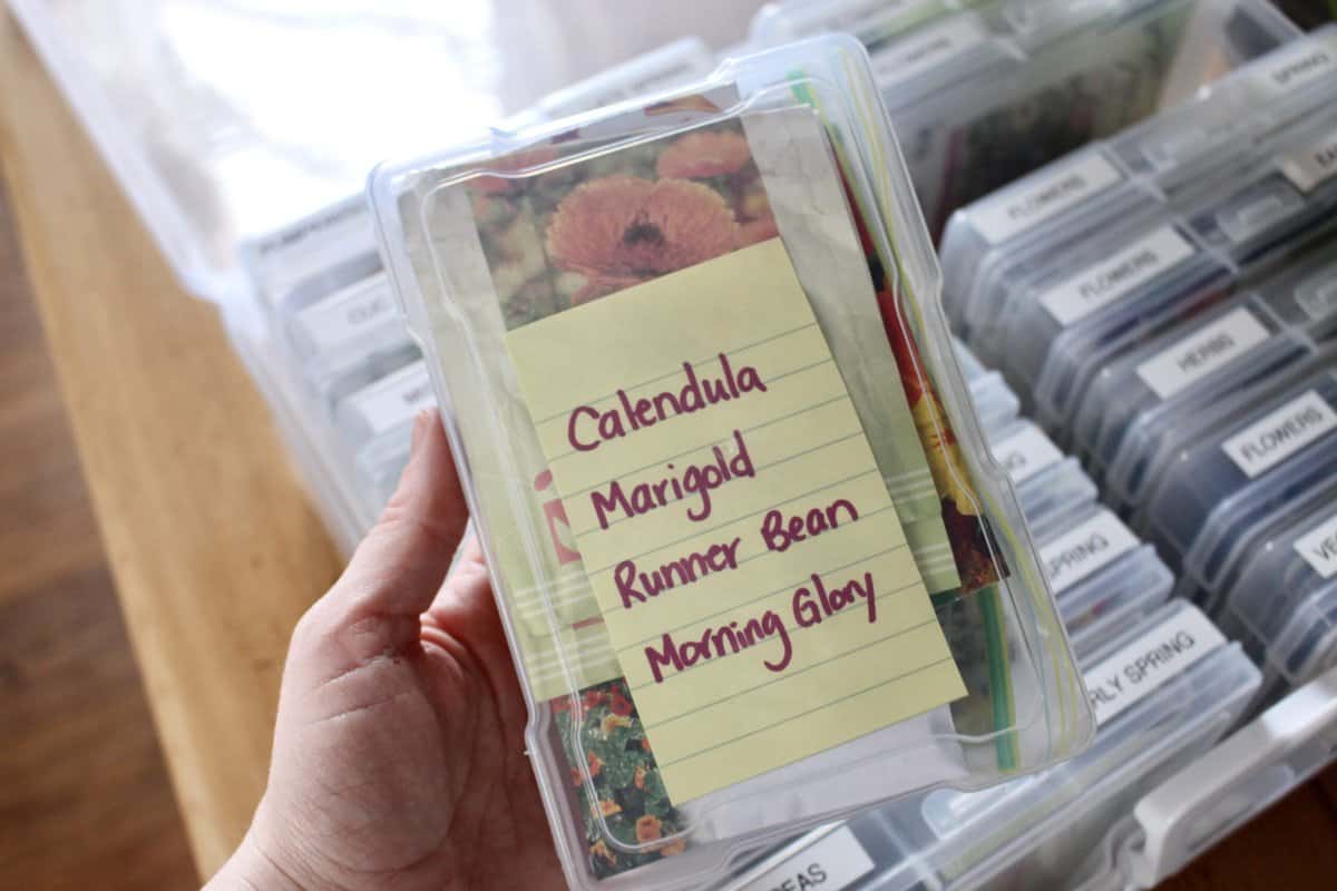 Seed Storage: The Best Way to Store & Organize Garden Seeds ~ Homestead and  Chill