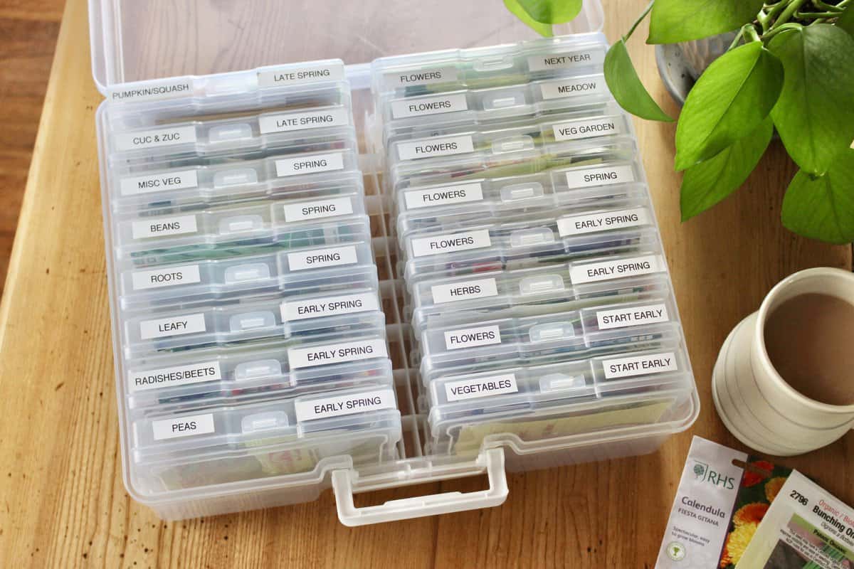 How to Organize Store and Sort Garden Seeds