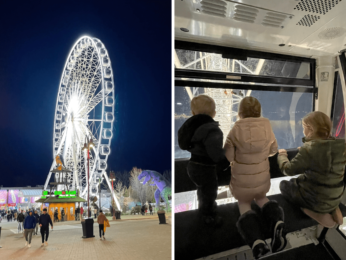 niagara falls skywheel