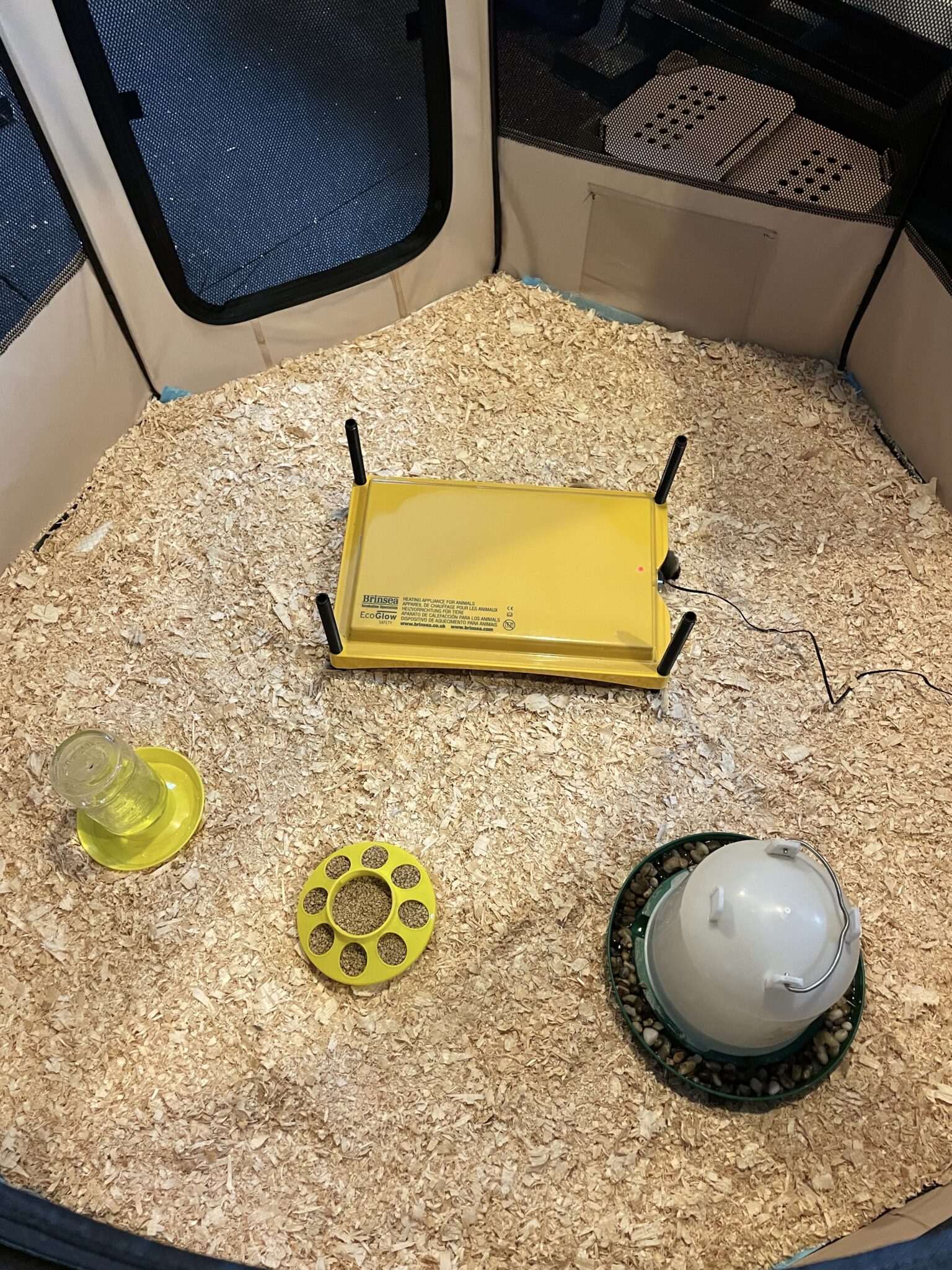 Raising Chicks: How to Setup a Brooder - Life at Cloverhill
