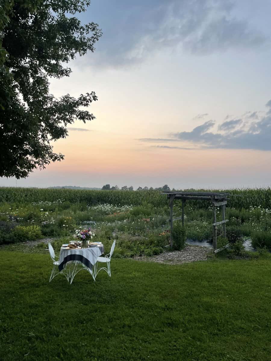 sunset-flower-field-table-dinner